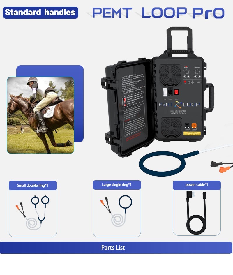 Equine Loop PEMF Treatment Combo Cold Laser Magnetic PMST Loop Horse Machine