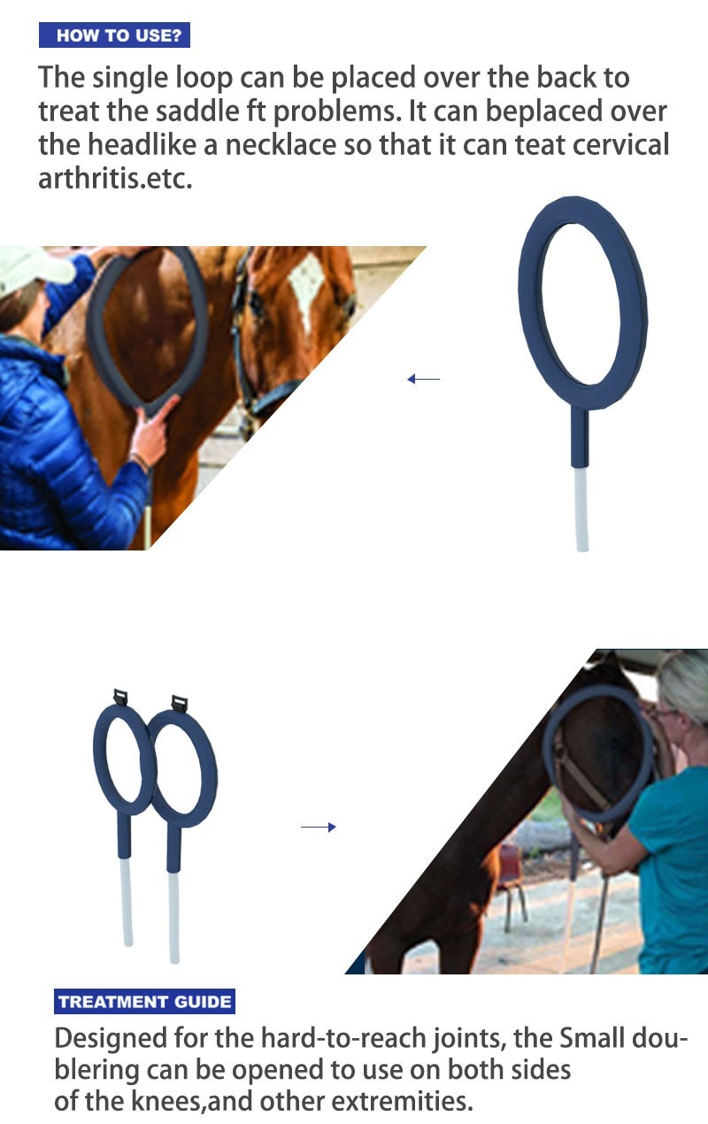 Equine Loop PEMF Treatment Combo Cold Laser Magnetic PMST Loop Horse Machine