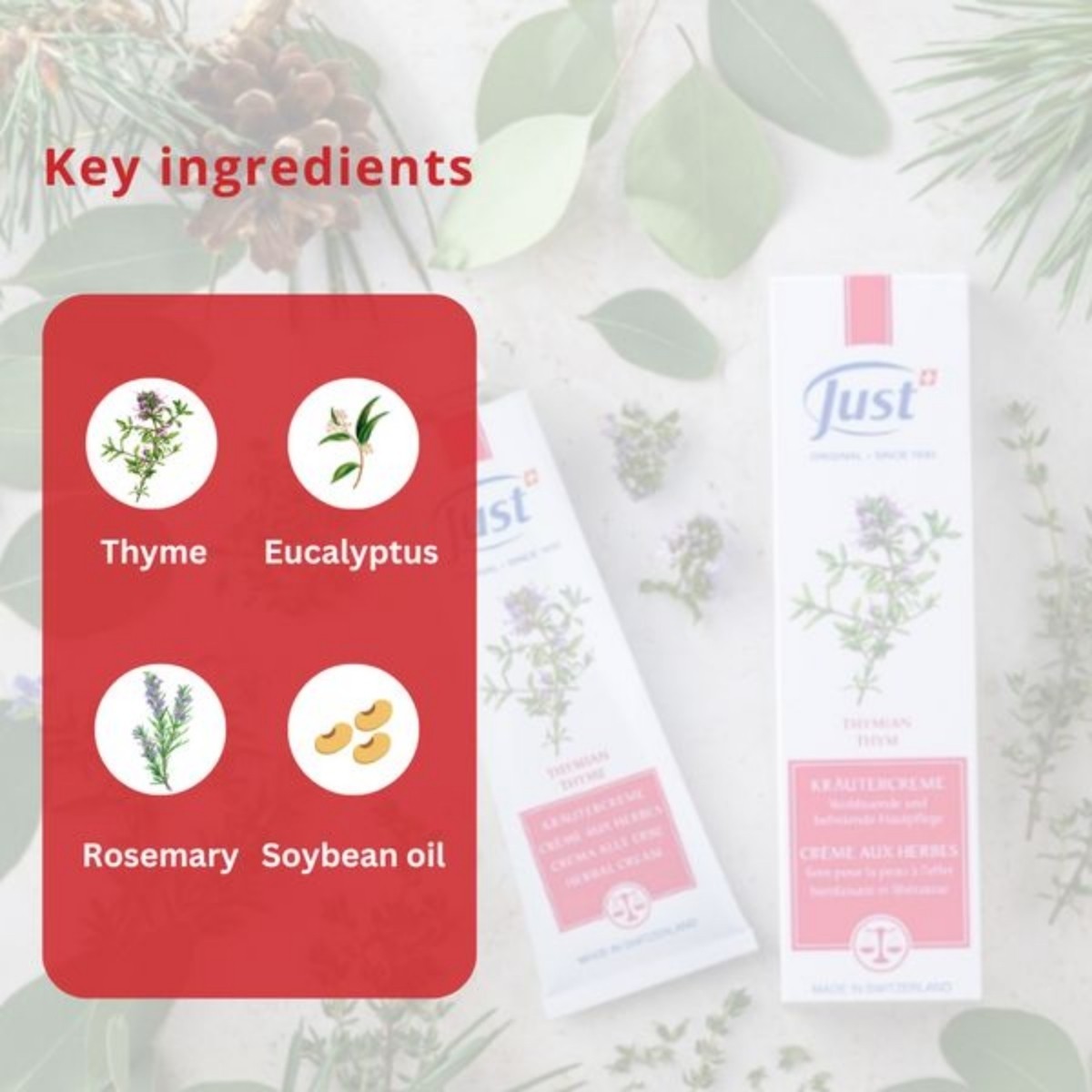 SWISS JUST Thyme+Juniper Cream+31 Essential Oil Anti Aging Therapy Body Massage