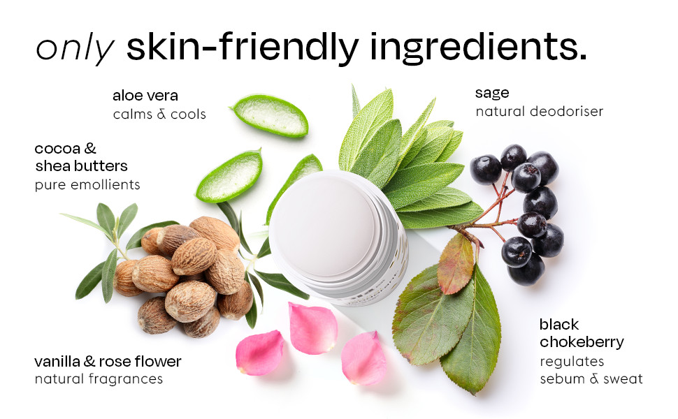 Lola Skincare Natural Deodorant Skin Friendly Ingredients – 2.6 oz, EXP 01/2025
