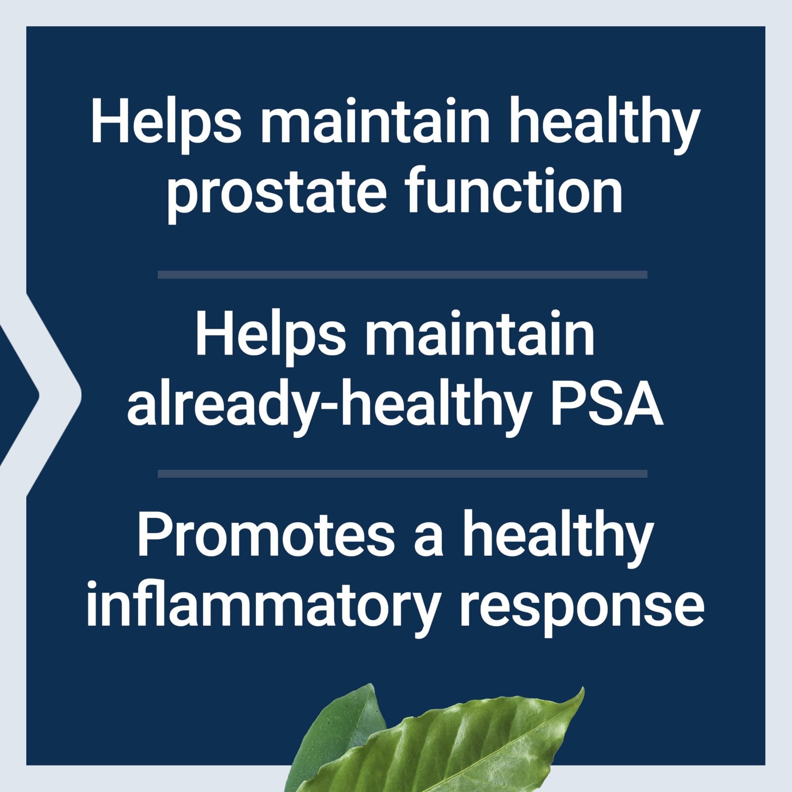 Ultra Prostate Formula with Saw Palmetto, Pygeum & Nettle Root – 60 Softgels for