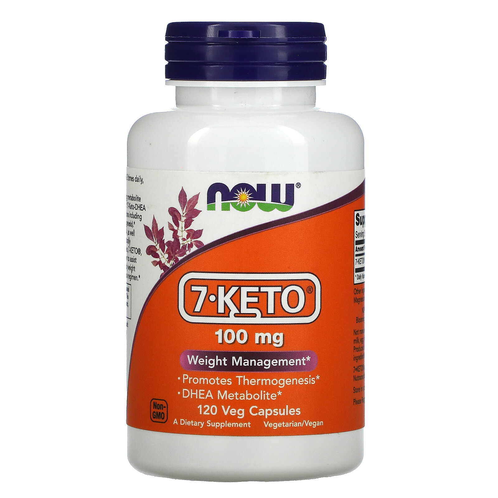 Now Foods 7-Keto 100 mg 120 Veg Capsules GMP Quality Assured, Vegan, Vegetarian