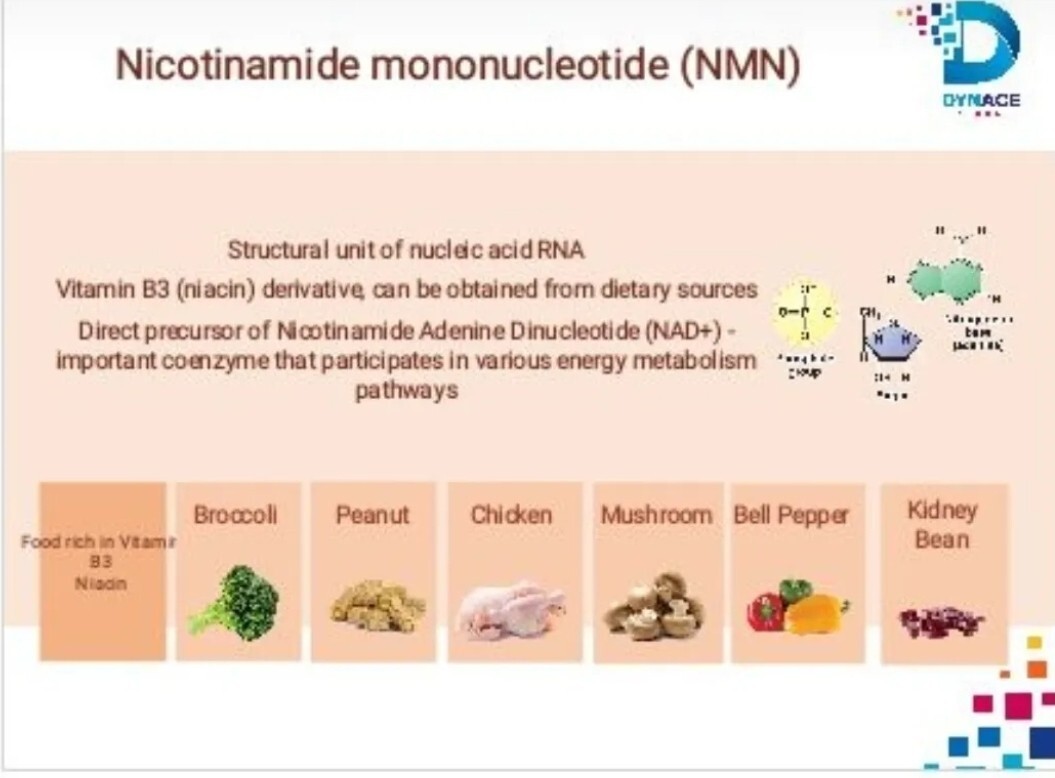 Dynace Rocenta Antioxidants, Blood Sugar Support , Blood Health…