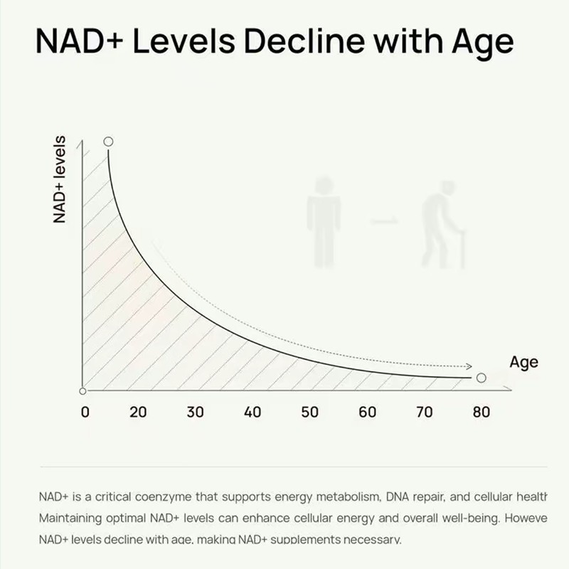 Selerb NAD+ Supplement for Men-With Liposomal-NAD+,CoQ10, L-Carnitine, L-Arginin