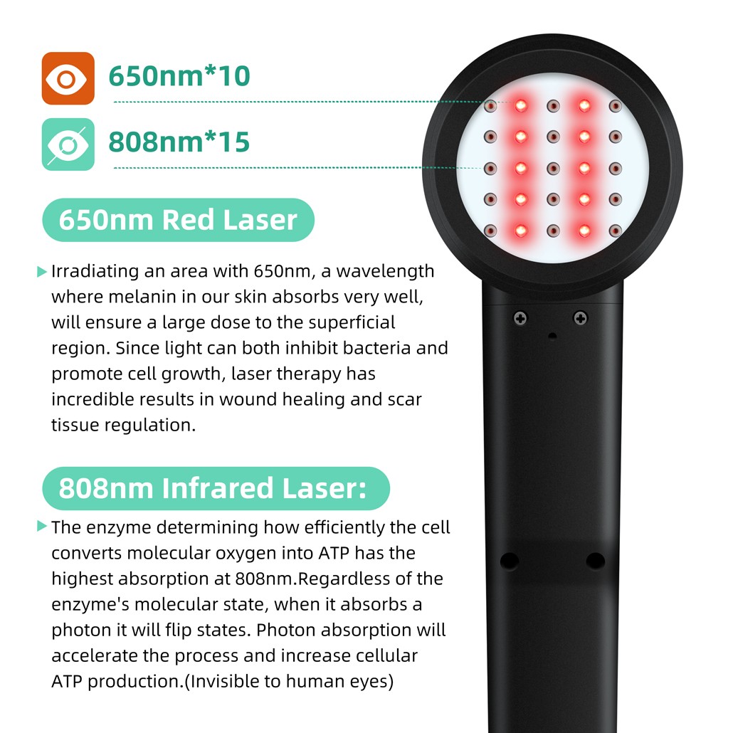 Non-invasive Laser Therapy 650nm 808nm Red Light Physiotherapy Device for Pain