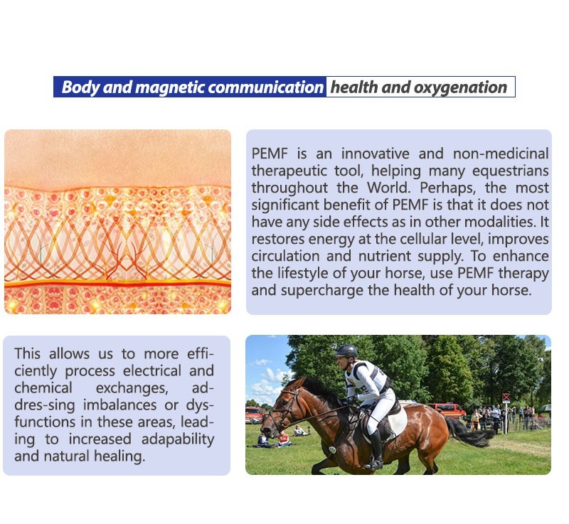 Equine Loop PEMF Treatment Combo Cold Laser Magnetic PMST Loop Horse Machine