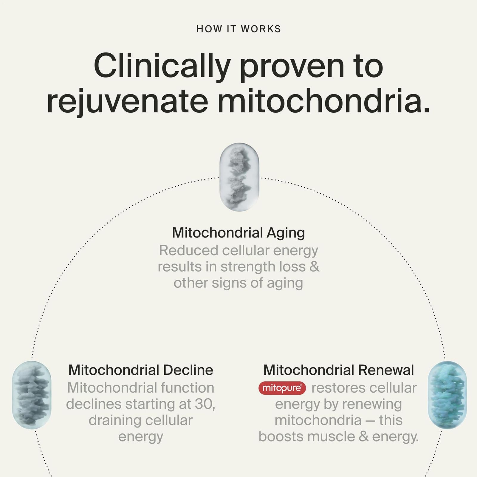 Time-Line Longevity Supplement Mitopure Urolithin A 60 Softgels