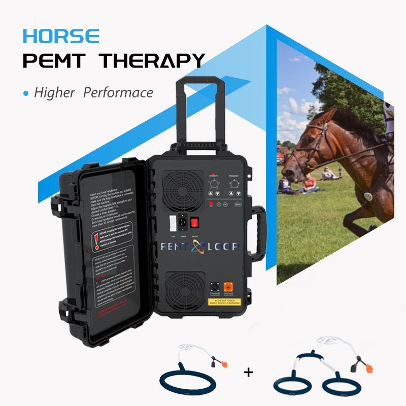 Equine Loop PEMF Treatment Combo Cold Laser Magnetic PMST Loop Horse Machine