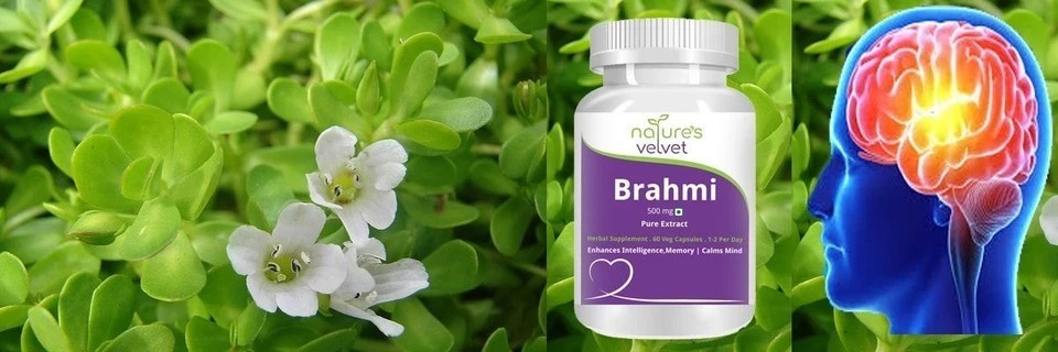Nature’s Velvet Brahmi Extract 500mg, 60 Veg Capsules x 4|Memory & Brain Support