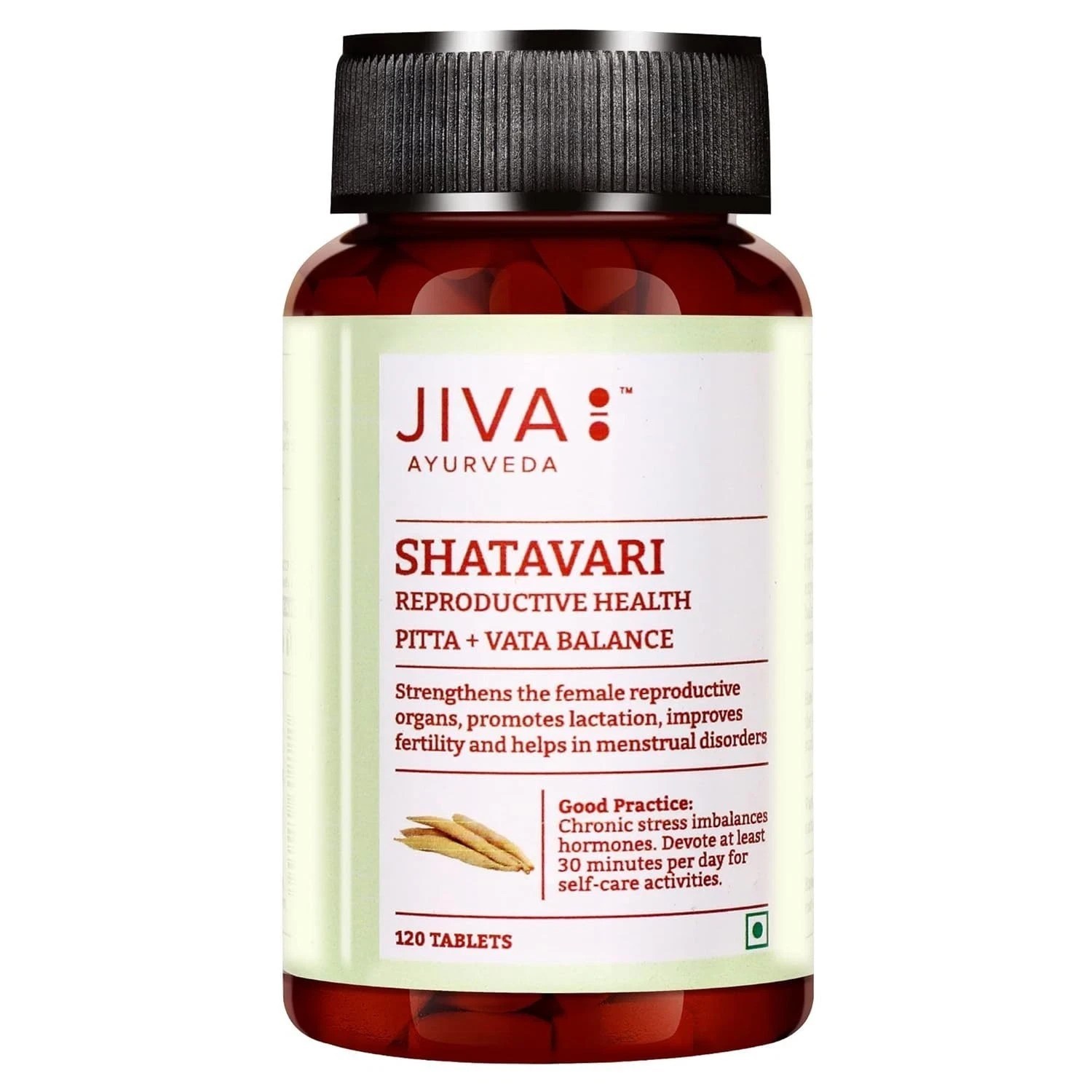 Shatavari ( Asparagus racemosus ) Helps to Boost Immunity & Strength (pack of 2)
