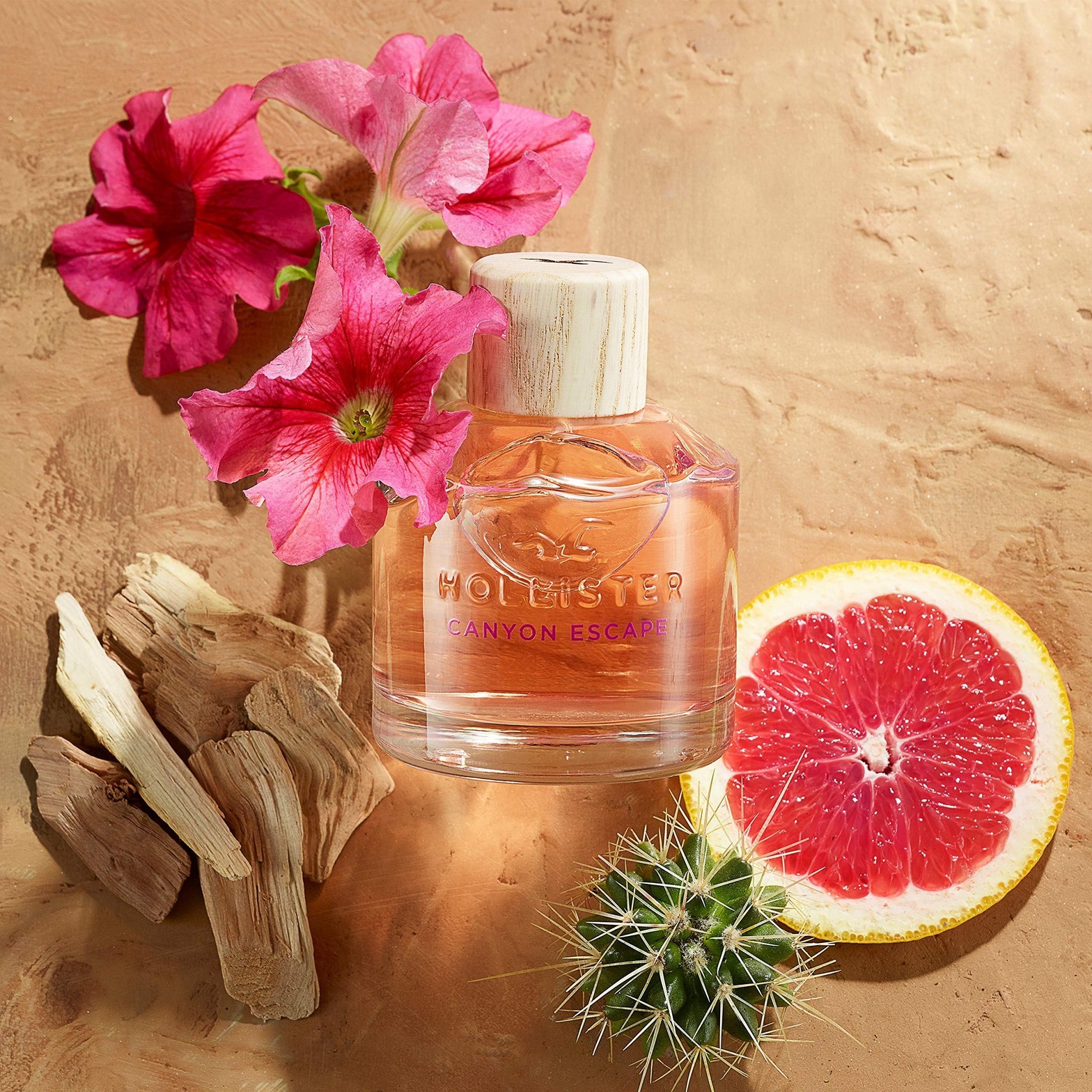 Hollister Women’s EDP Canyon Escape (3.4 Fl Oz)