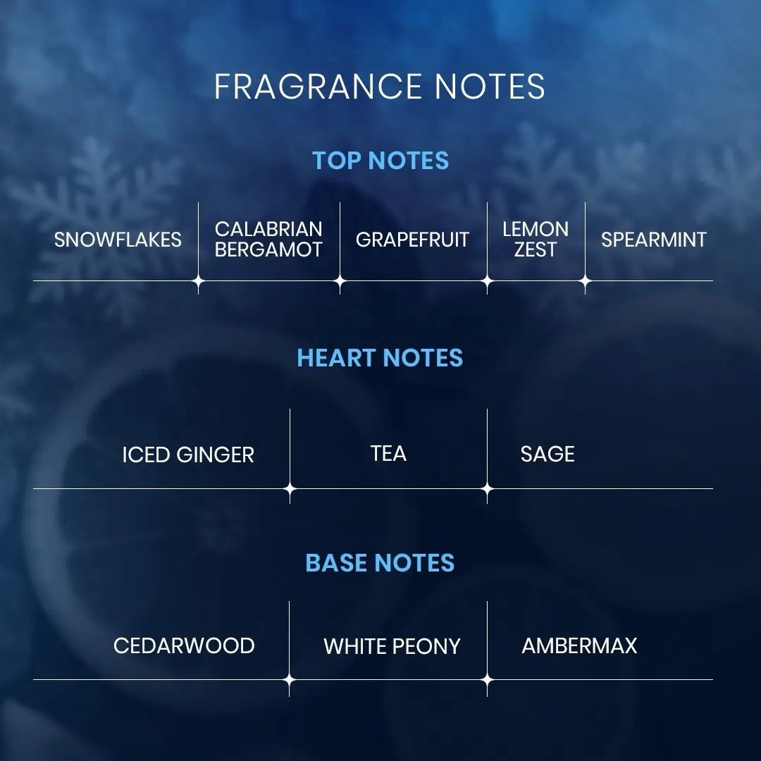 Freeze by RIIFFS Perfumes | 100ml EDP Spray | Fast Shipping