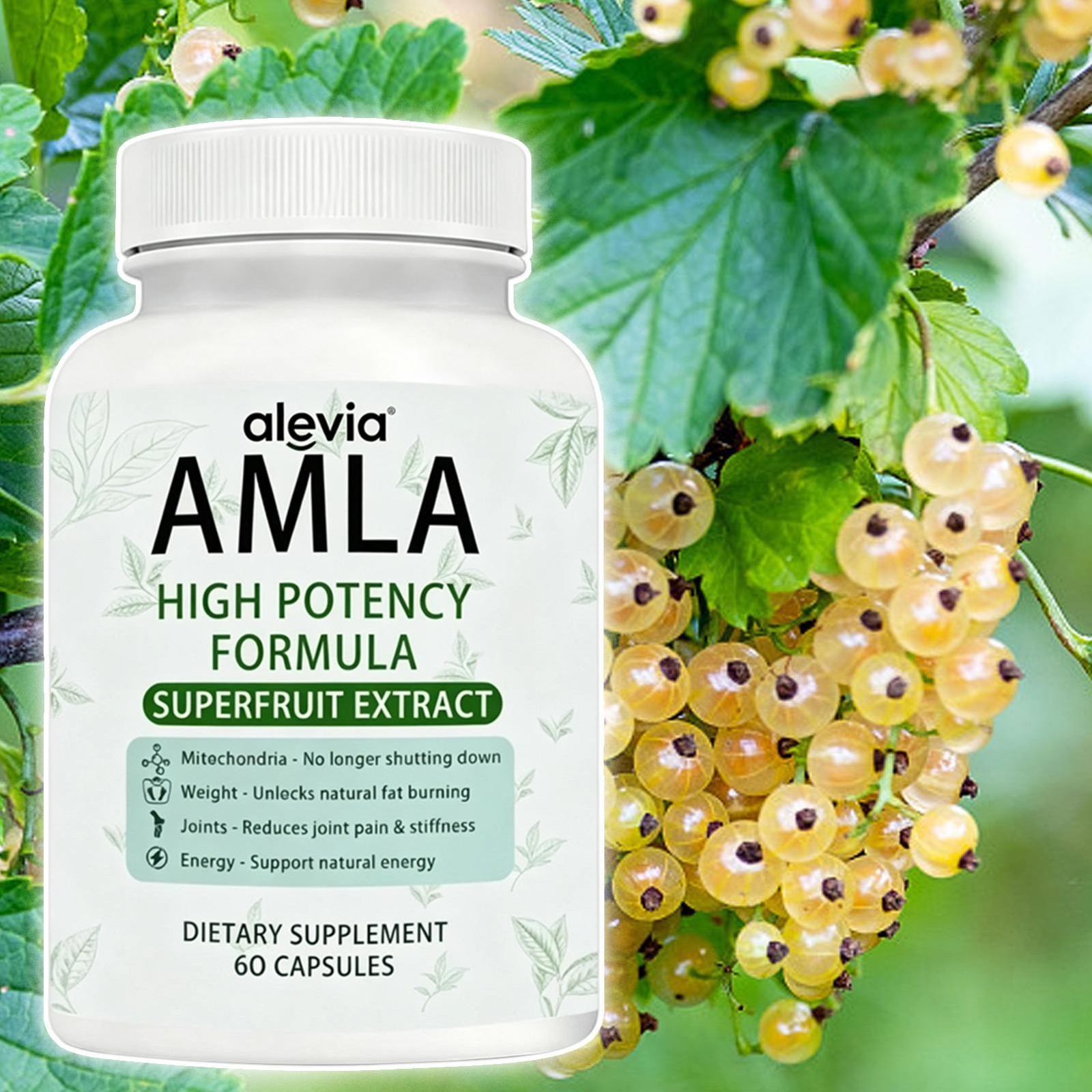 AMLA Capsules Superfruit Extract High Potency Formula 60 Capsules