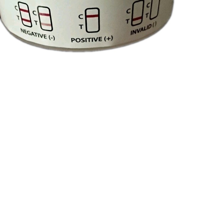 10 Panel Urine Test