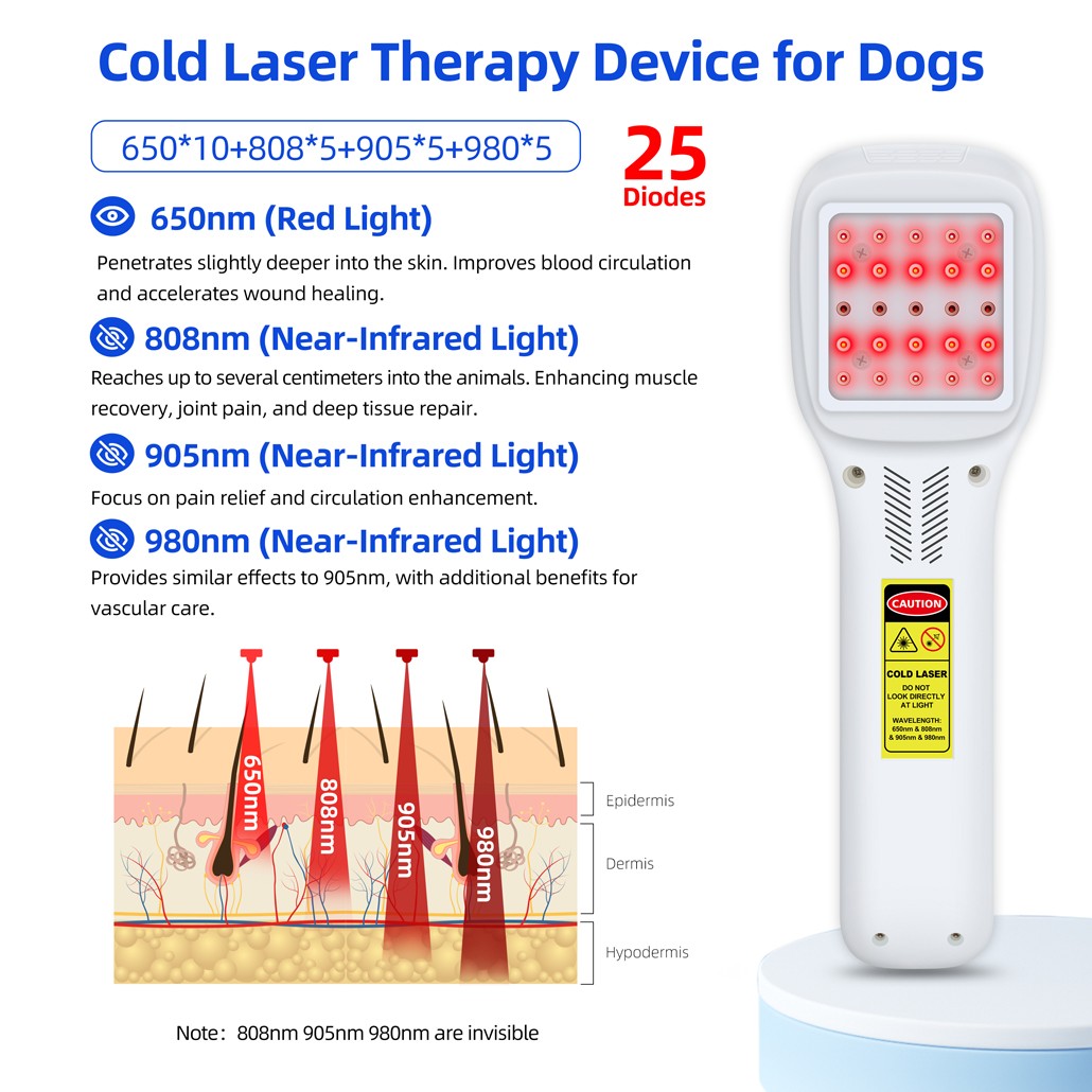 2500mW Cold Laser Therapy Device for Joints Muscle Pain Relief 650/808/905/980nm