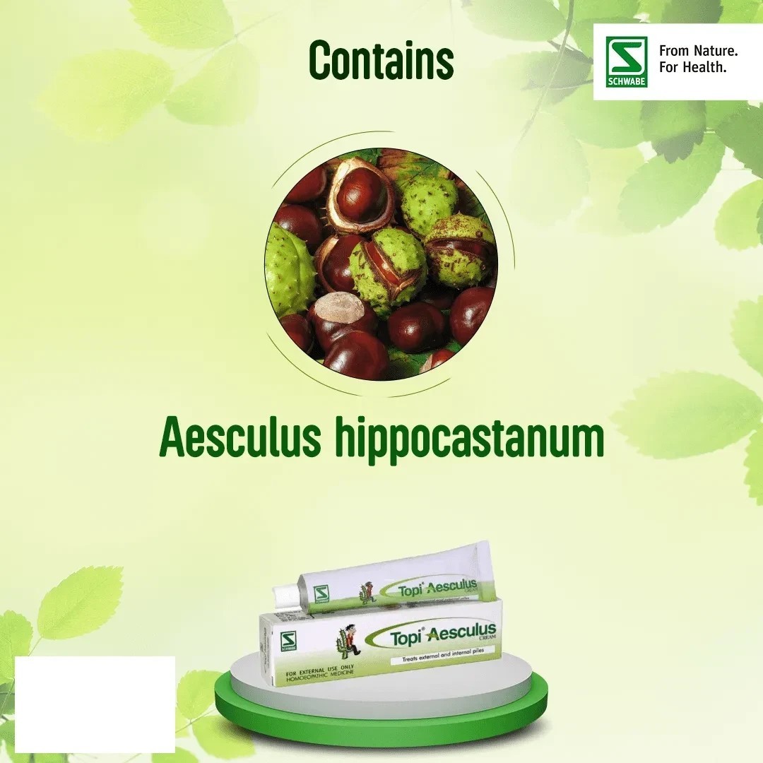 Dr Willmar Schwabe India Homoeopathic Topi Aesculus 25gm Cream For Painful
