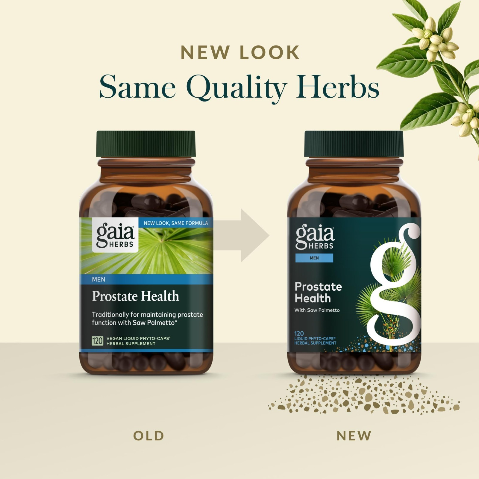 Prostate Health Support for Men – Saw Palmetto, Green Tea, Nettle Root – 120 Veg