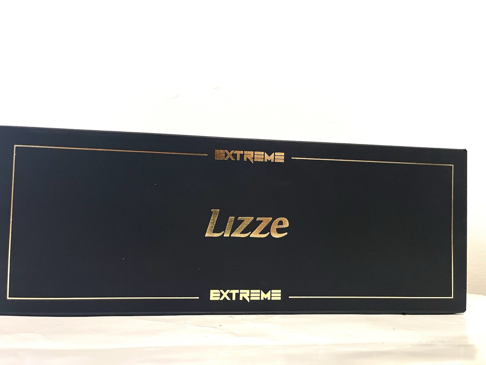 Lizze Extreme Professional Slim 480ºF Professional Titanium Straightener.
