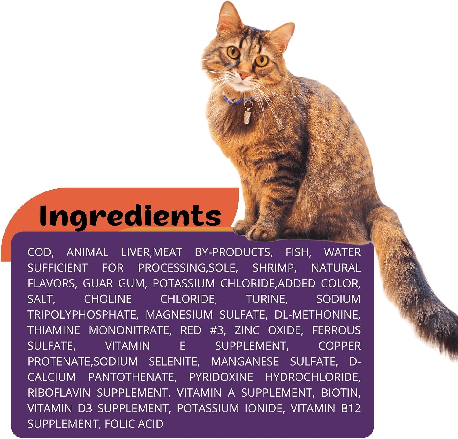 CAT Food 5.5 OZ (15 Pack) Salmon Entree + Gift Squeeze Up (2 ud)