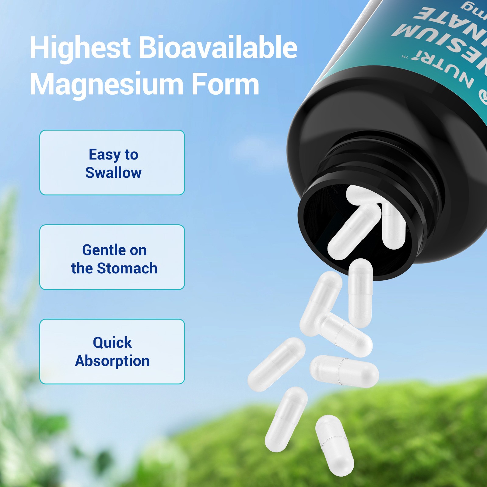 BIO NUTRI Magnesium Glycinate Supplement | 500mg 240 Pills Non-GMO & Gluten Free