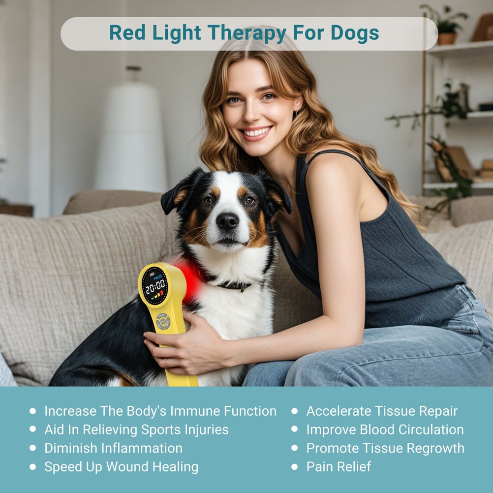 Advanced Cold Laser LLLT Device 1760mW for Chronic Pain Management Treatment