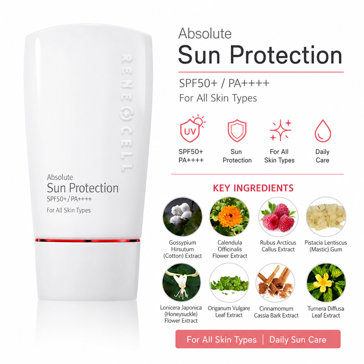 Renecell Absolute Sun Protection SPF 50 50g Korean Moisturizing Sunscreen