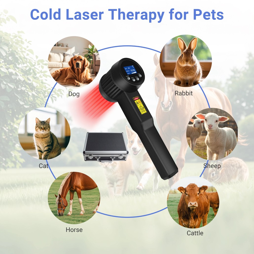 5W Class 4 Cold Laser Therapy for Foot Swelling Back Neck Pain Adjustable Power