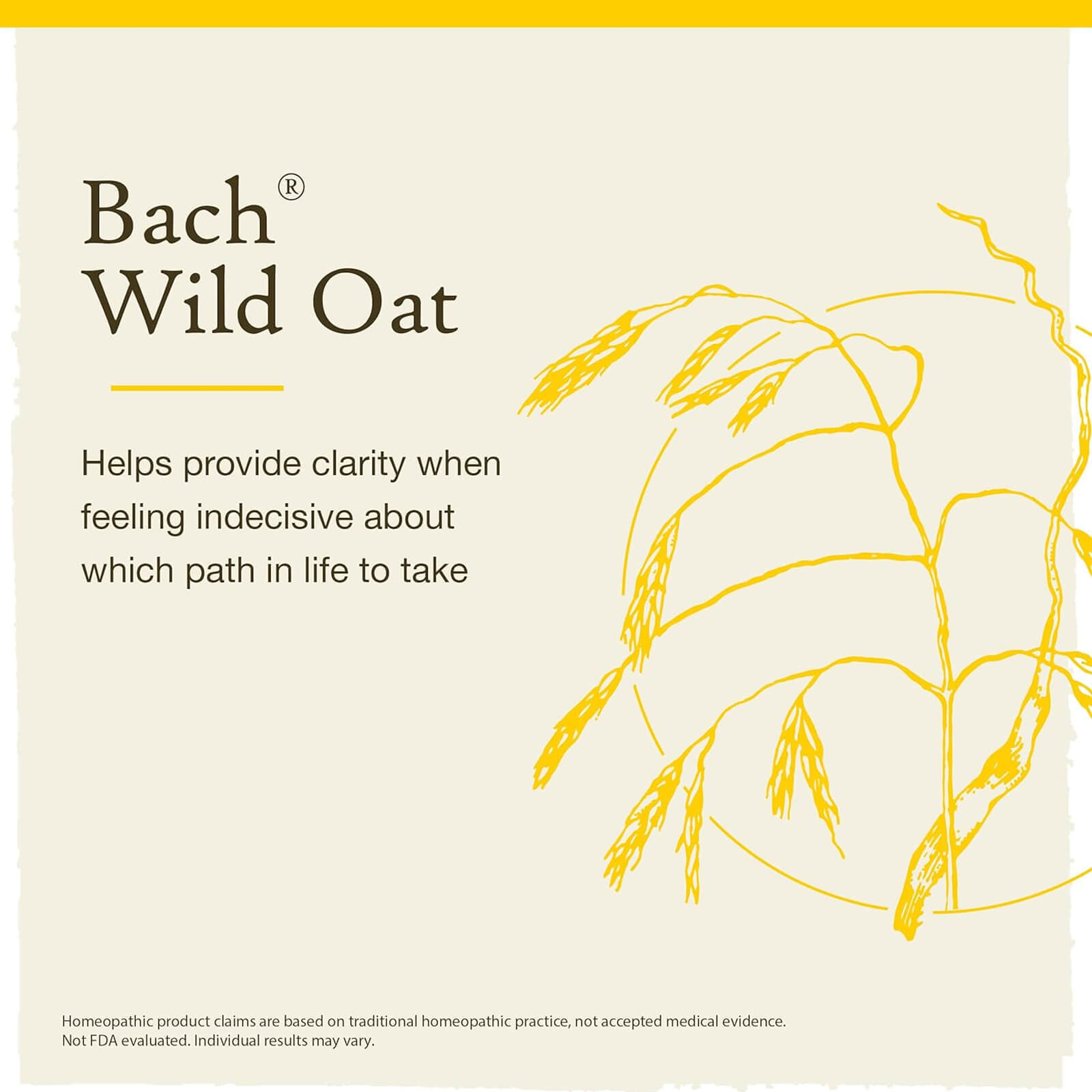 Bach Original Flower Remedies Wild Oat Decide Your Path 0.7 fl oz 20mL