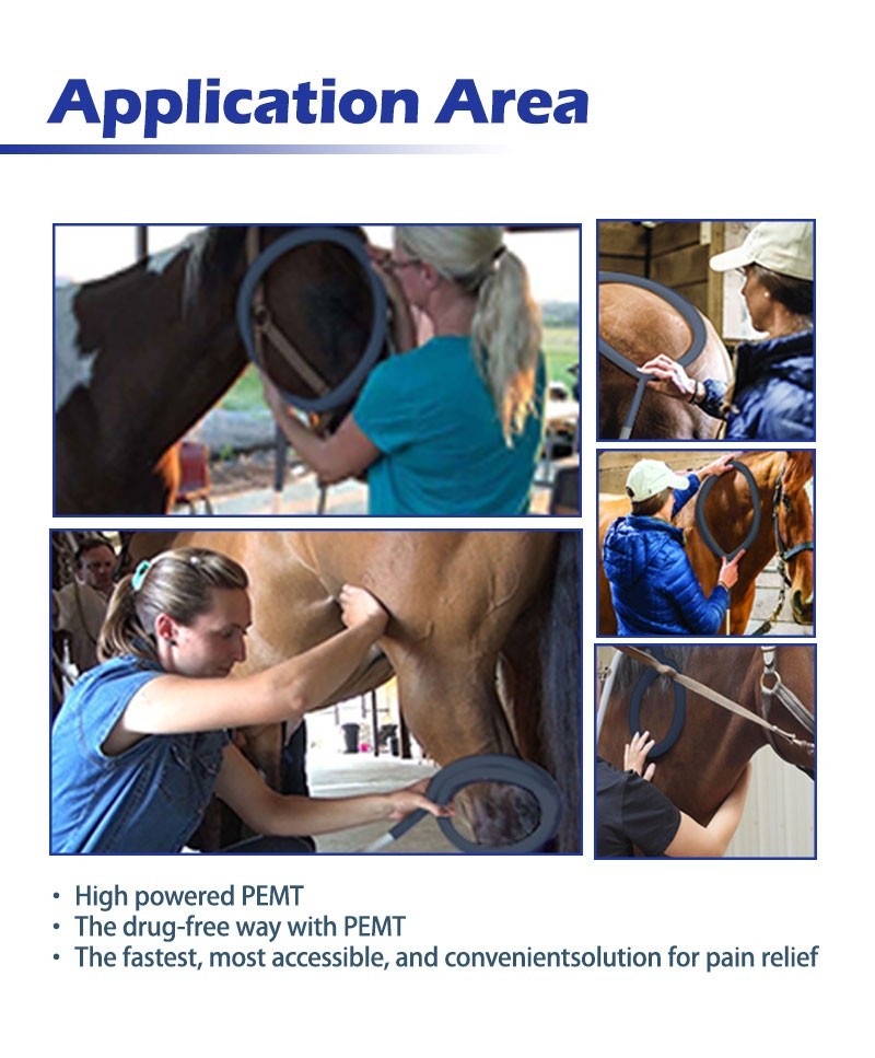 Equine Loop PEMF Treatment Combo Cold Laser Magnetic PMST Loop Horse Machine