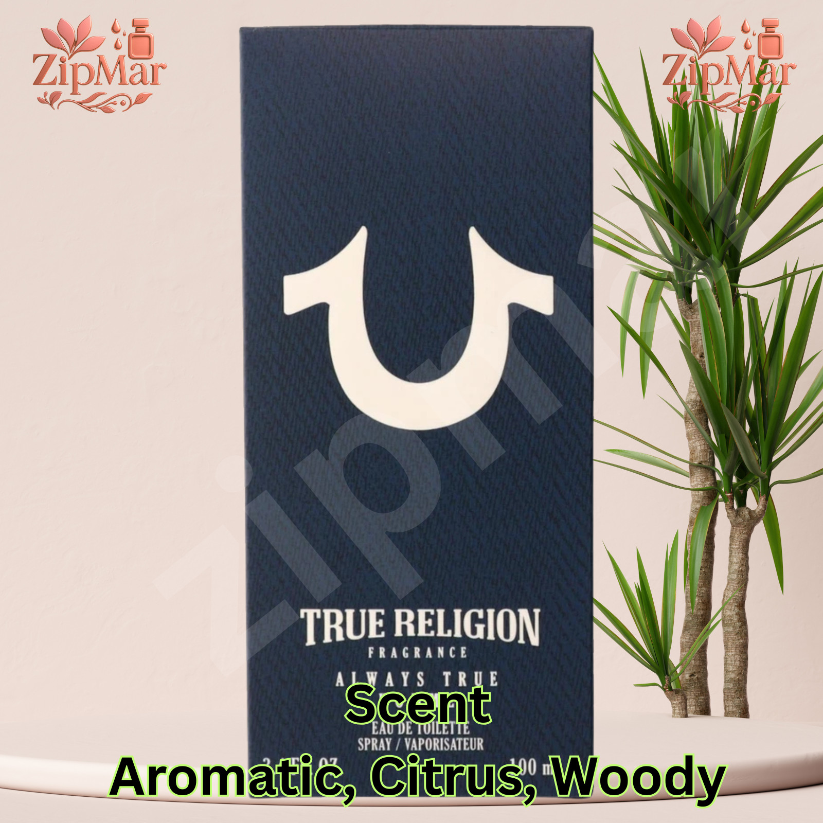 Fresh True Religion Always True Homme EDT 3.4floz/100ml Men Woody Spicey Cologne