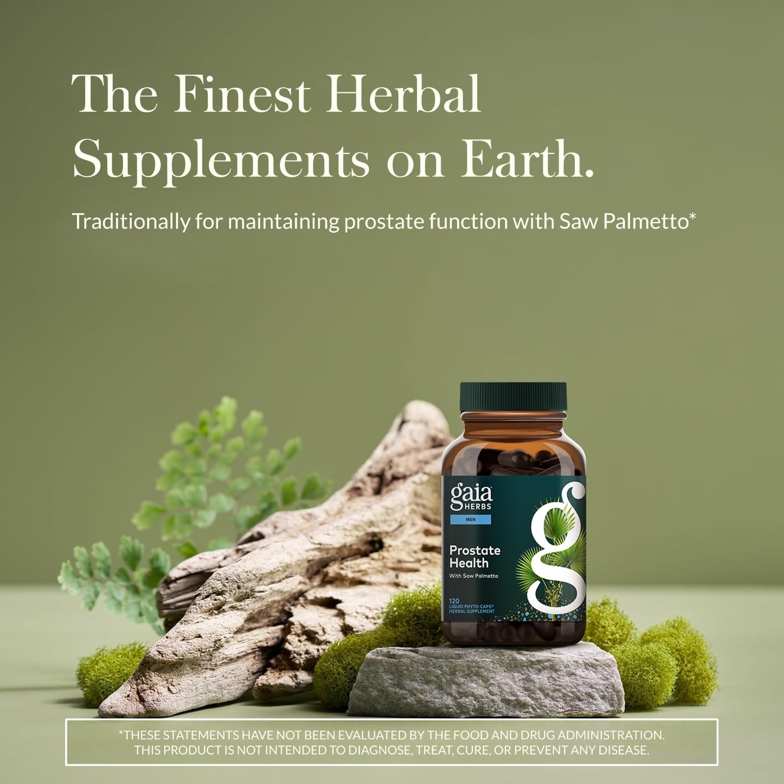 Prostate Health Support for Men – Saw Palmetto, Green Tea, Nettle Root – 120 Veg