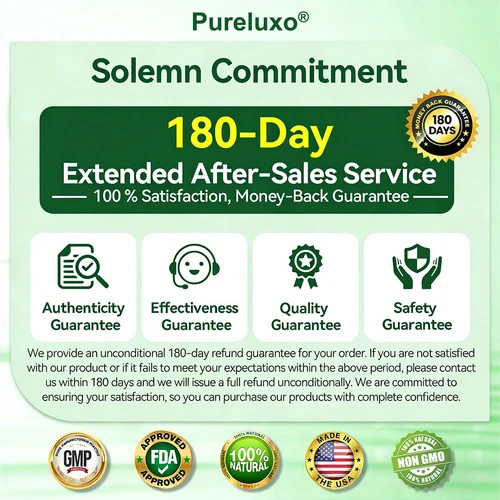 Pureluxo Moringa Berberine NAD+ Weight Loss Patches Advanced Nano Microneedle