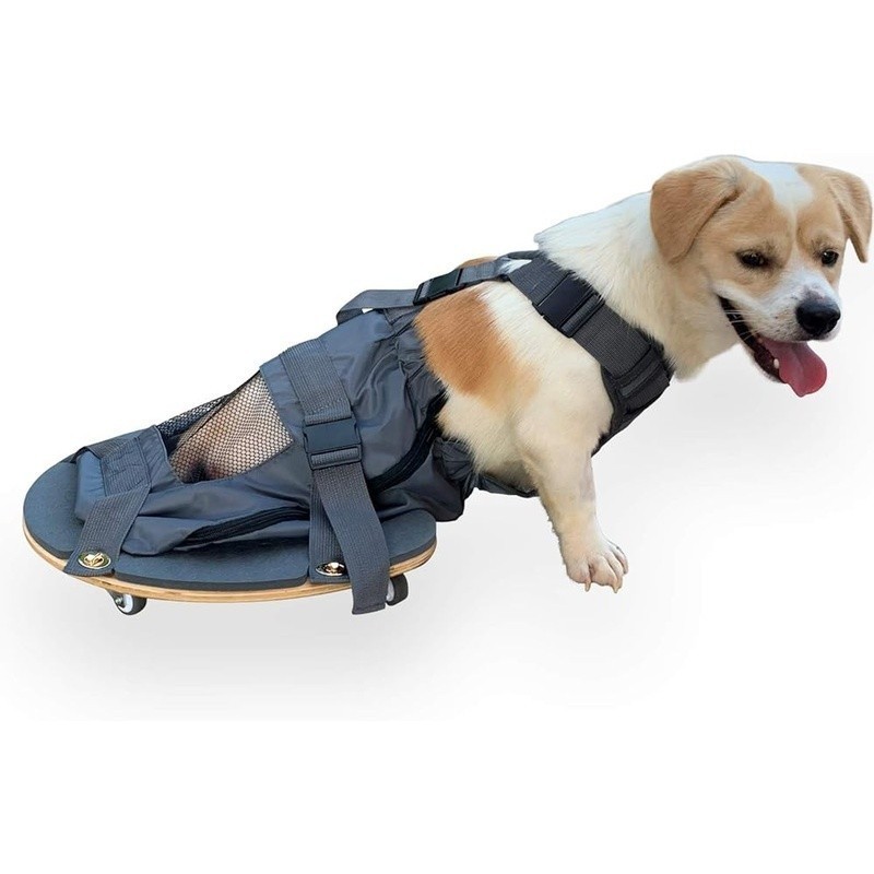 Pet Scooter Wheelchair for Rear Legs Paralyzed Dog Chest and Limbs