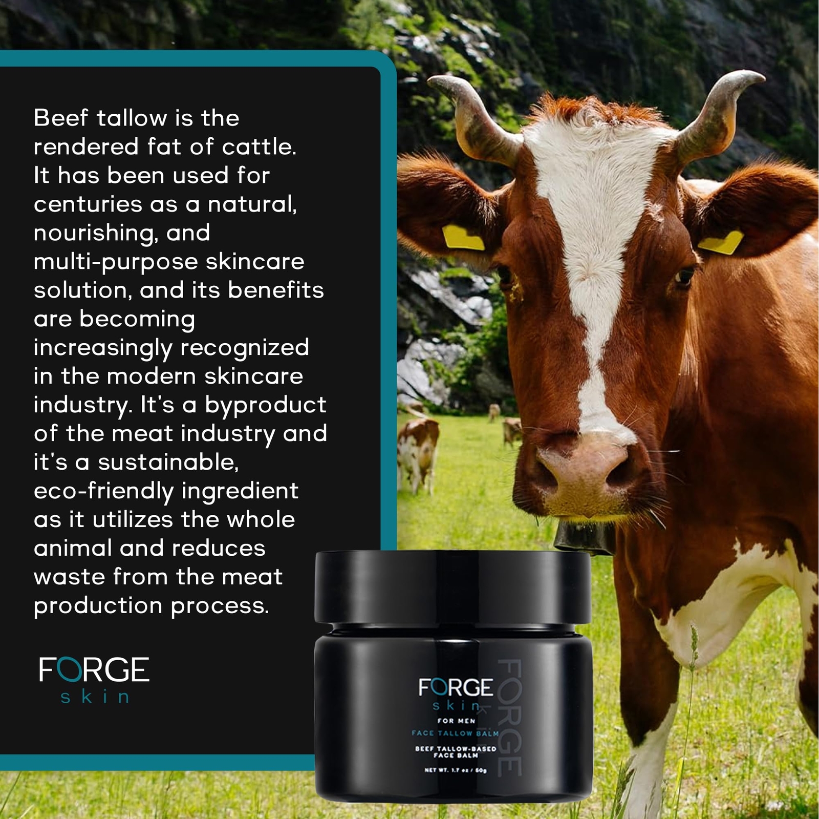 Forge Skin Men’s Wrinkle Defense Beef Tallow Balm for Skin | Beef Tallow for …