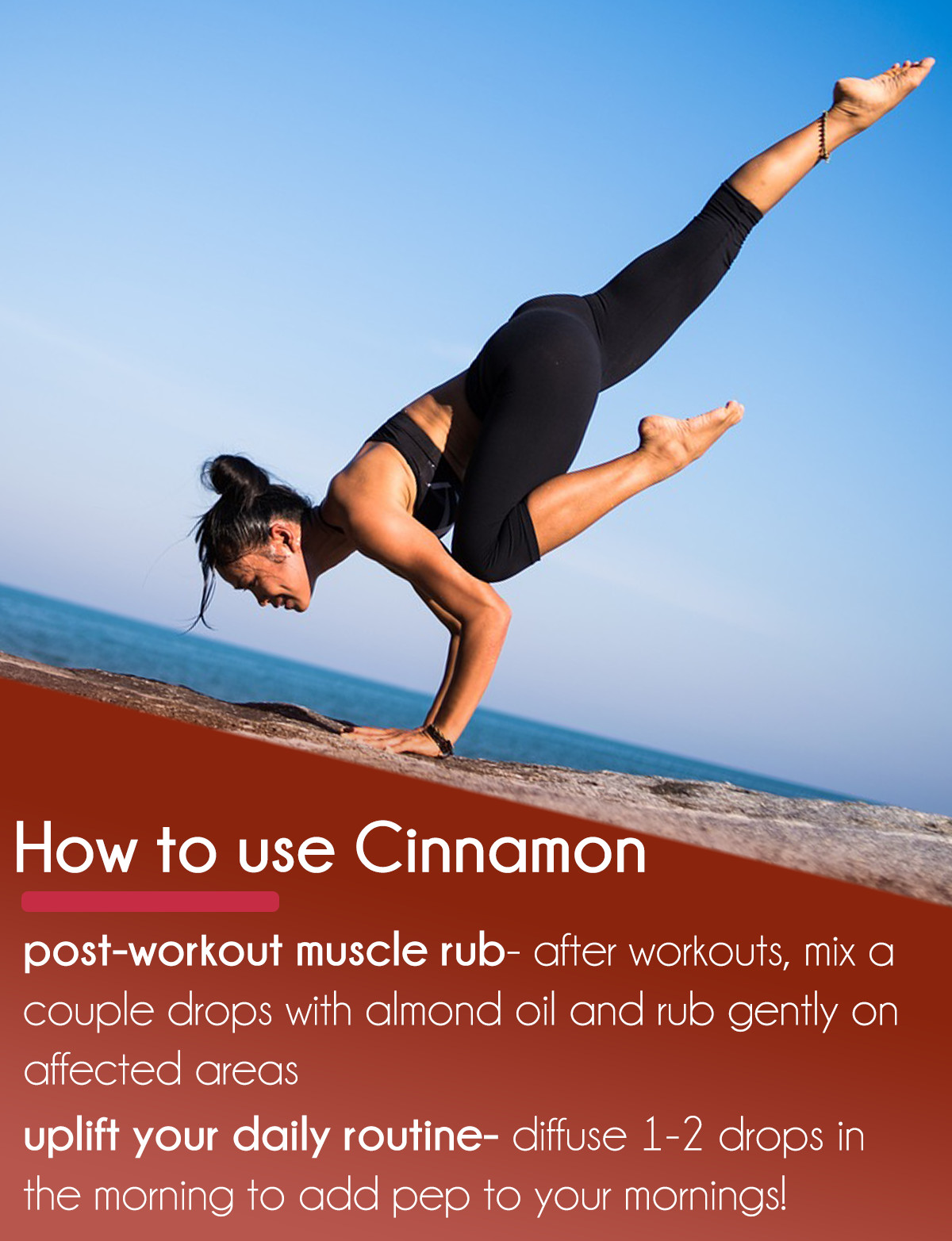 GreenHealth Cinnamon (Cassia) Essential Oil 100% Pure Many Sizes Free Shipping