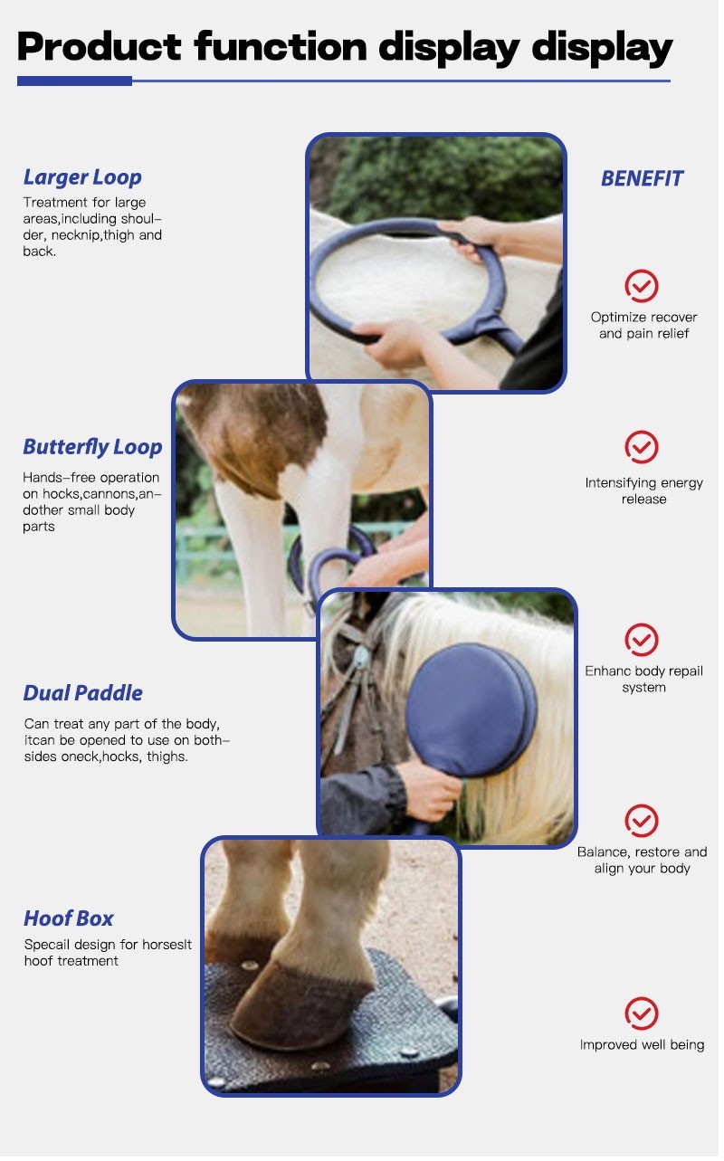 Equine Loop PEMF Treatment Combo Cold Laser Magnetic PMST Loop Horse Machine