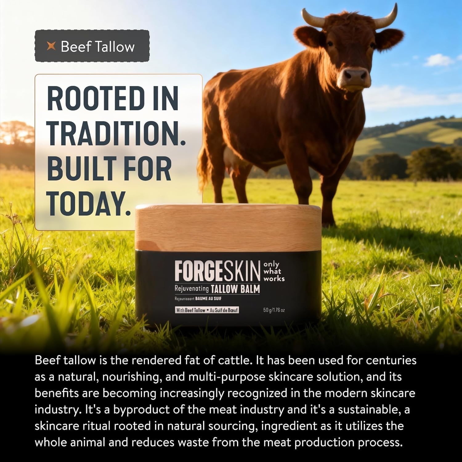 Forge Skin Men’s Wrinkle Defense Beef Tallow Balm for Skin |Beef Tallow for men.