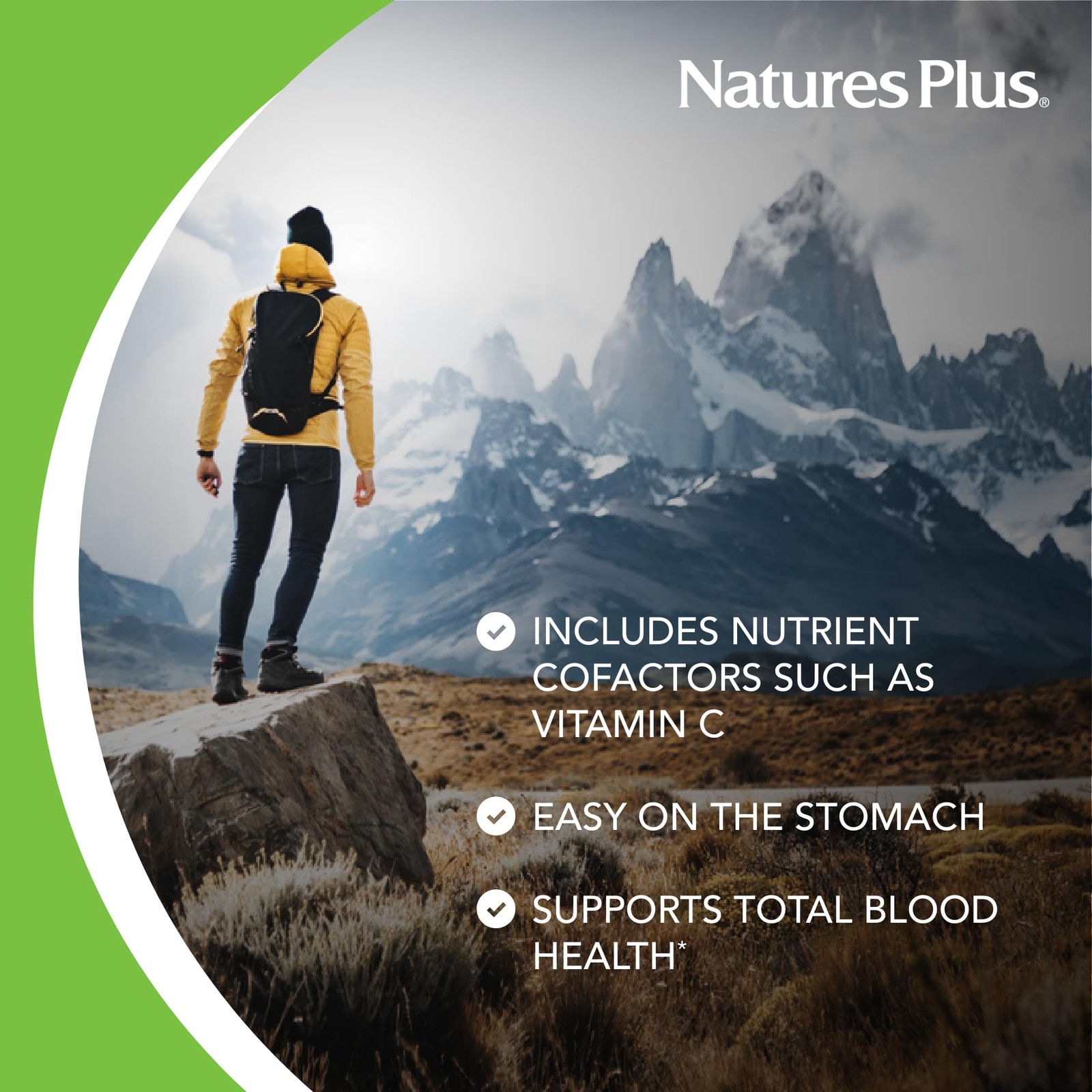 NaturesPlus Hema-Plex Iron – 60 Fast-Acting Capsules – 3 60 Count (Pack of 3)