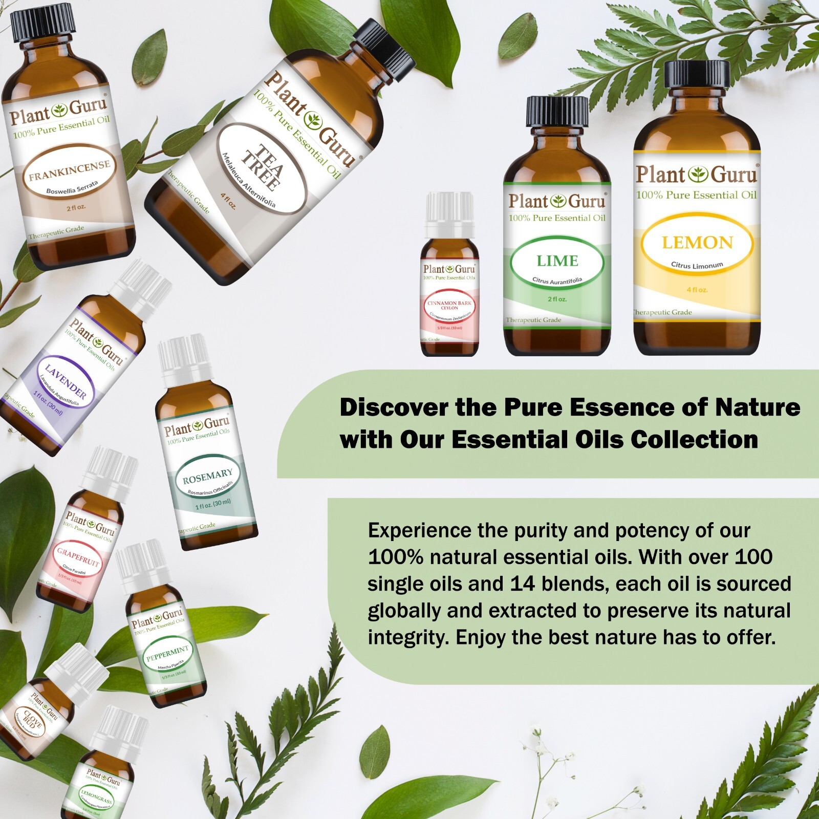 Essential Oils 2 oz. 100% Pure Natural Therapeutic Grade Aromatherapy Oil Bulk