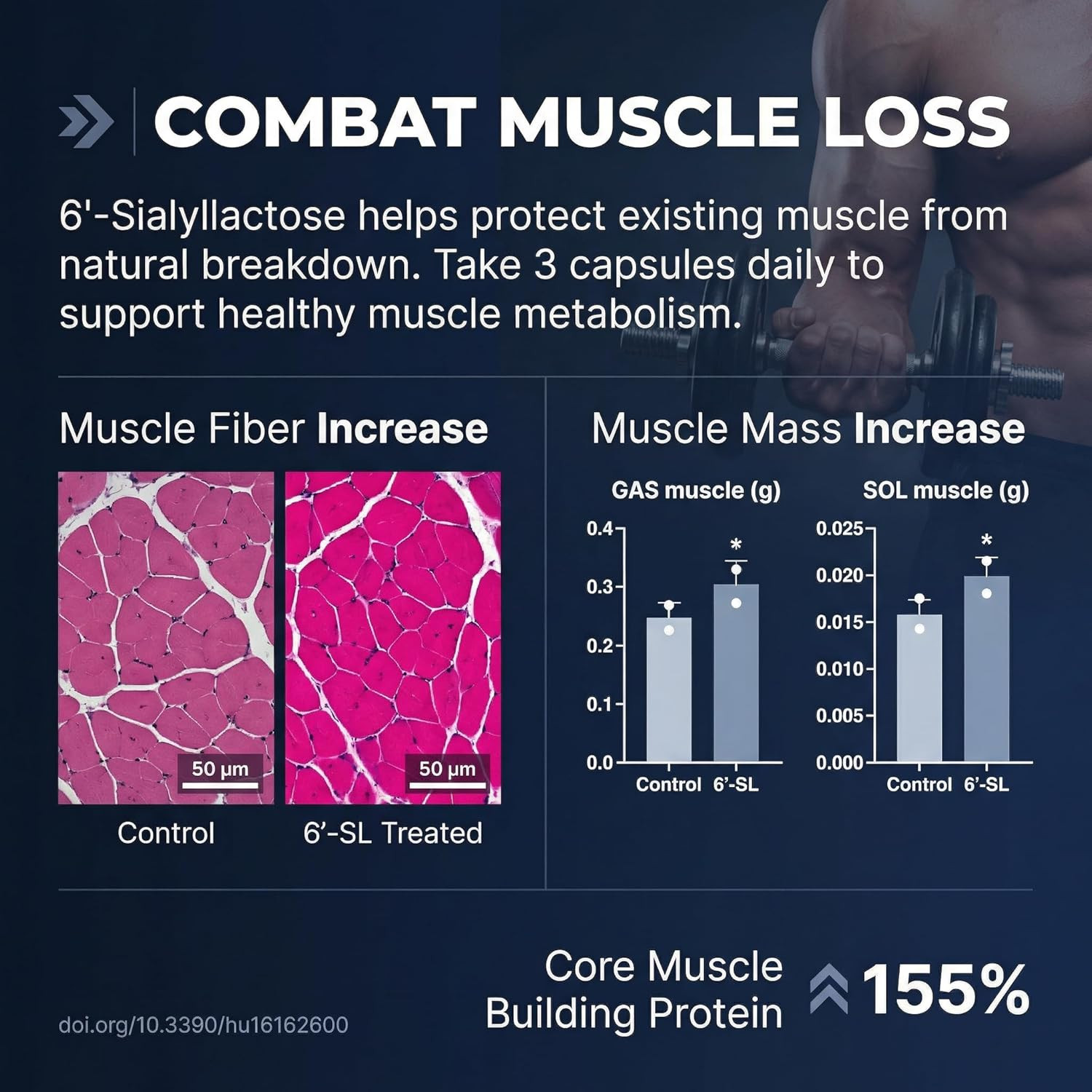 Muscle Health – Made in USA – Enhance Muscle Mass & Strength, Fast Workout Recov