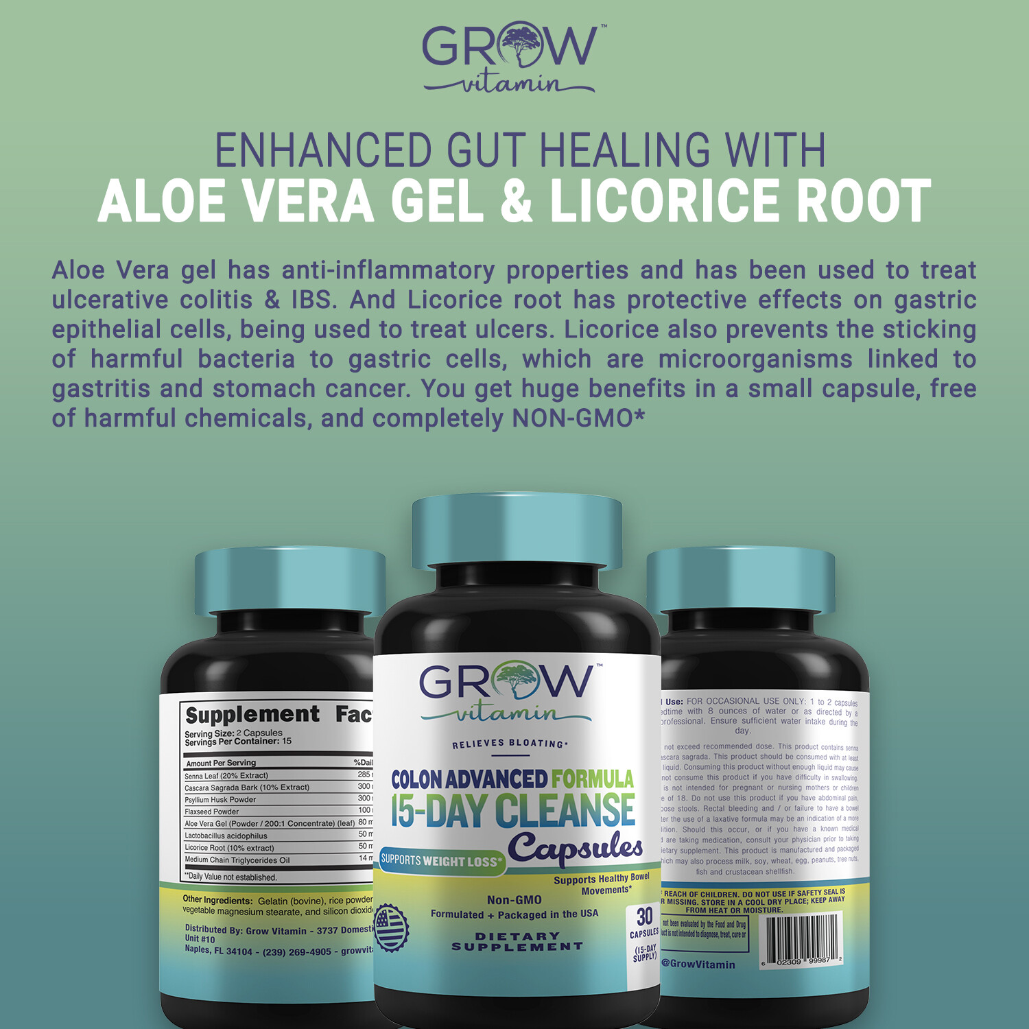 COLON 14 DAY Quick Cleanse Support Detox Weight Loss Increased Energy, NW 2024
