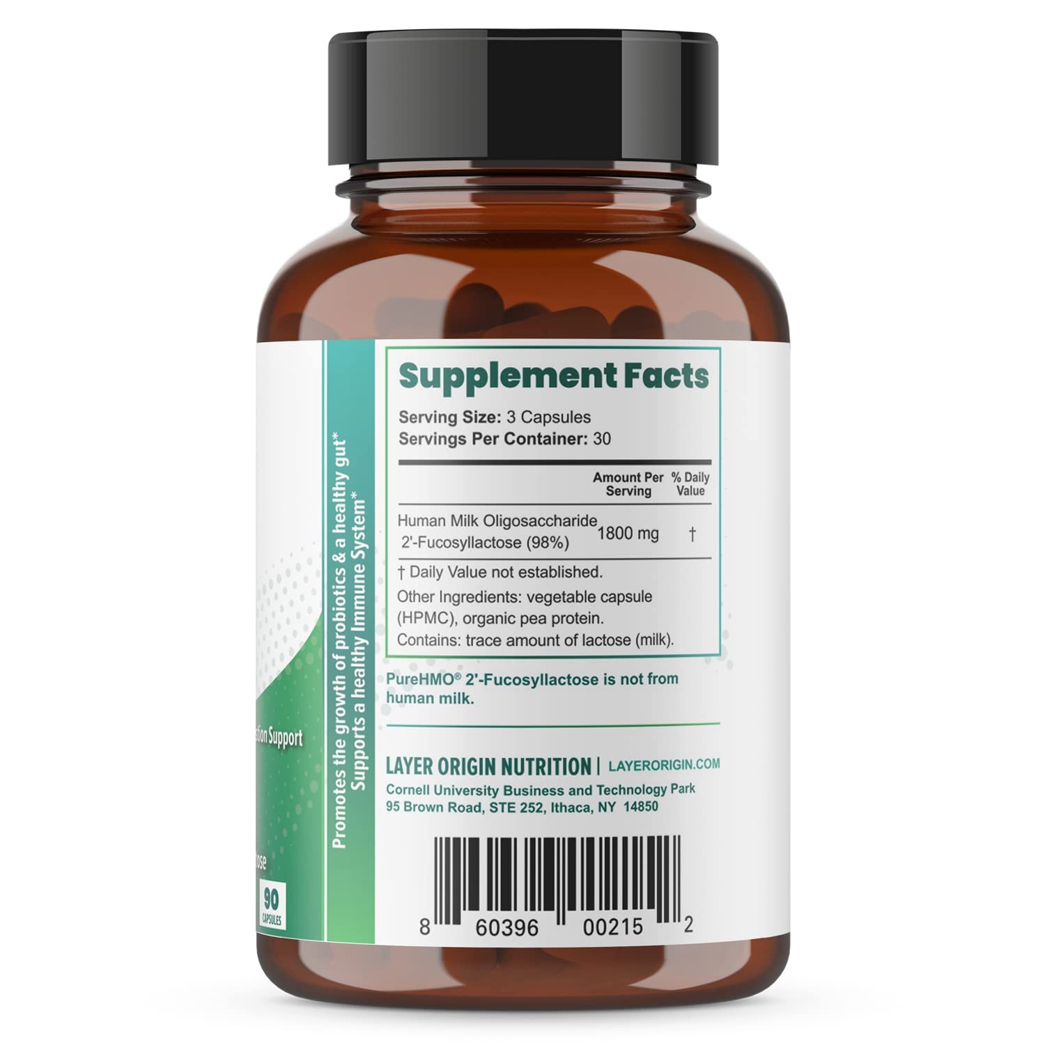 Human Milk Oligosaccharide (HMO 2′-FL) Prebiotic Fiber Powder Supplement