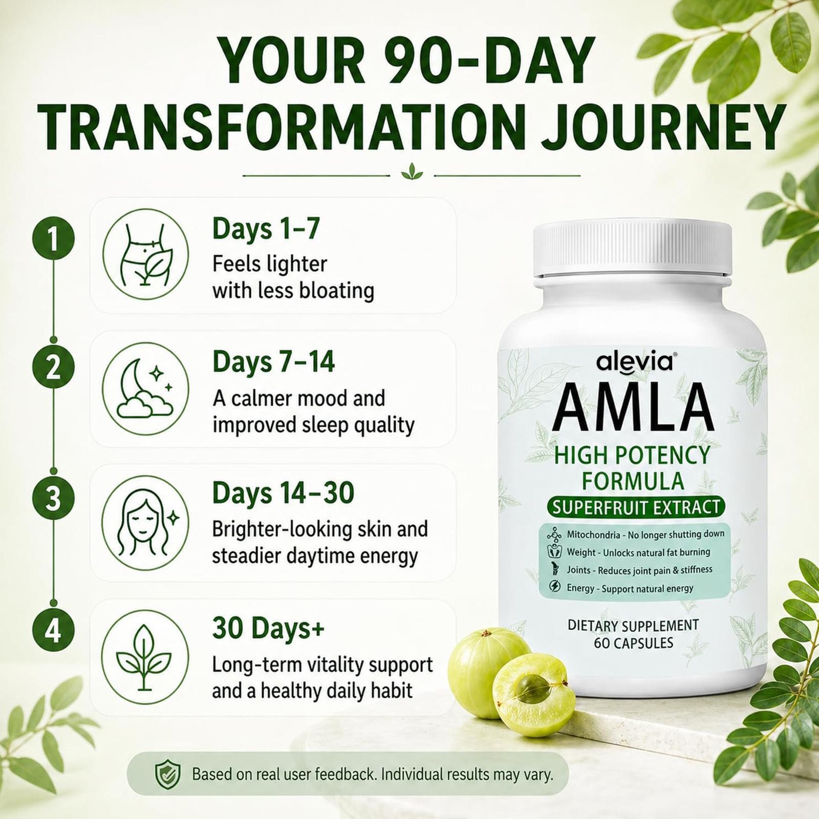 AMLA Capsules Superfruit Extract High Potency Formula 60 Capsules