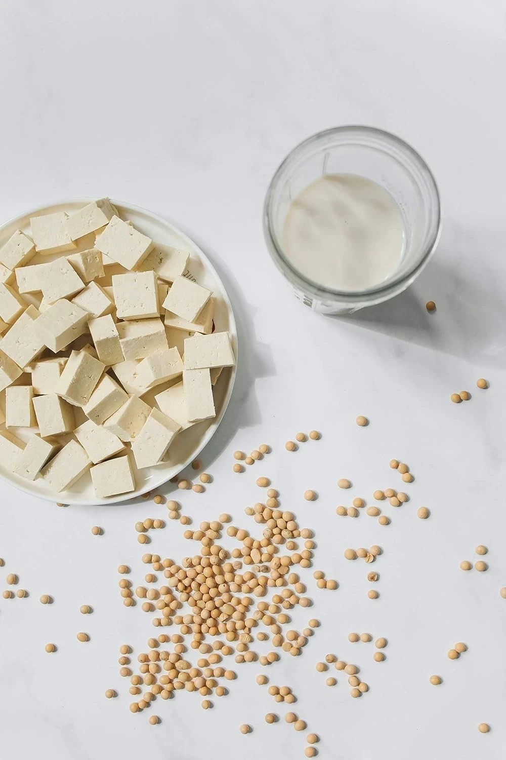 Alla’s Posh Flavors Tofu Coagulant, Nigari, Bittern,Magnesium Chloride Salt 500g