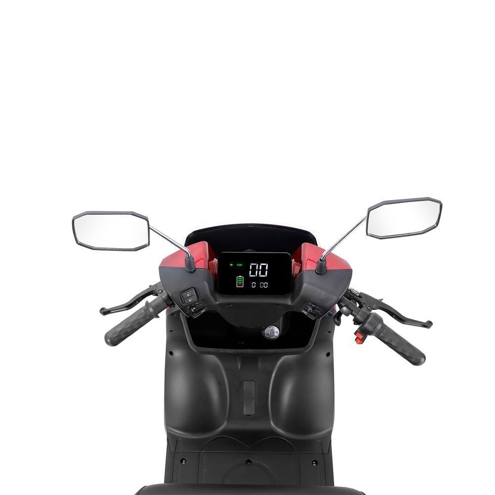 1000W 4-Wheel Heavy Duty Adjustable 2-Seat Electric Power Mobility Scooters