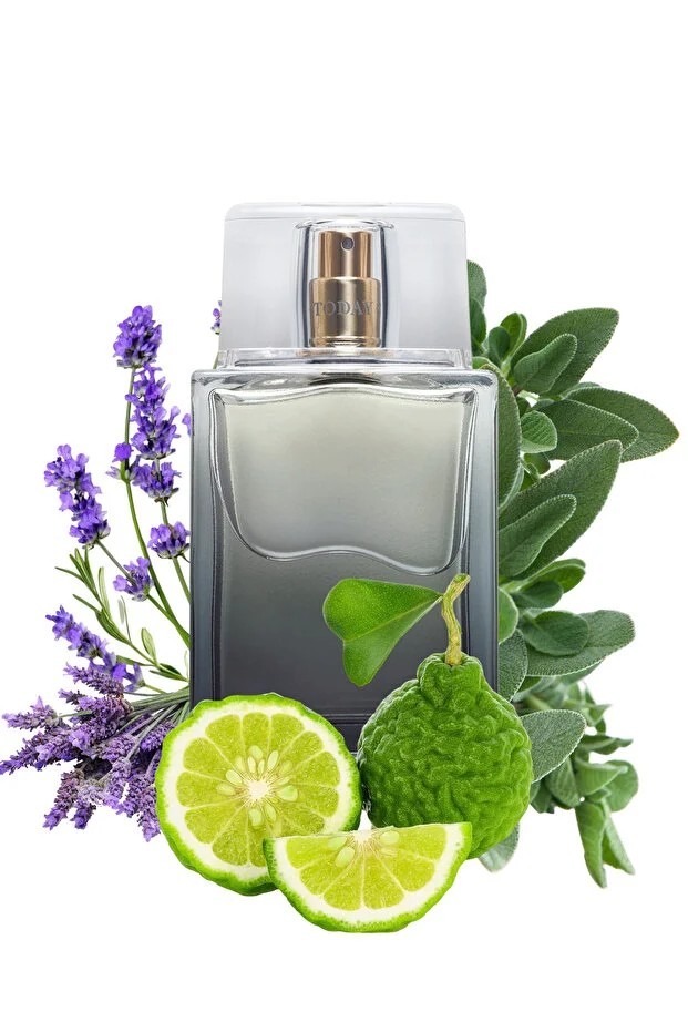 Avon Today Tomorrow Always For Him EDT 2.5 fl oz 75 ml Men’s Cologne Fresh Woody