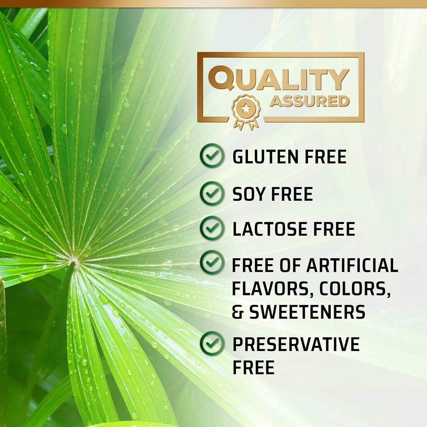 Saw Palmetto 1000mg – Premium Prostate Health Support Supplement for Men