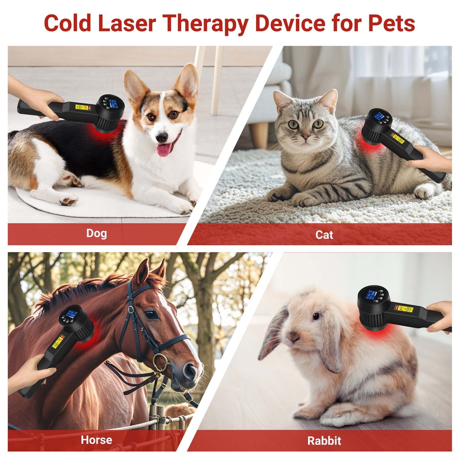 5000mW Red Light Laser Therapy Device 808nm 905nm for Herniated Disc Body Pain