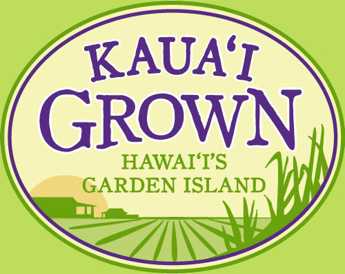 100% PURE HAWAIIAN WAILUA RIVER NONI JUICE Certified Organic: 12 Quart Bottles