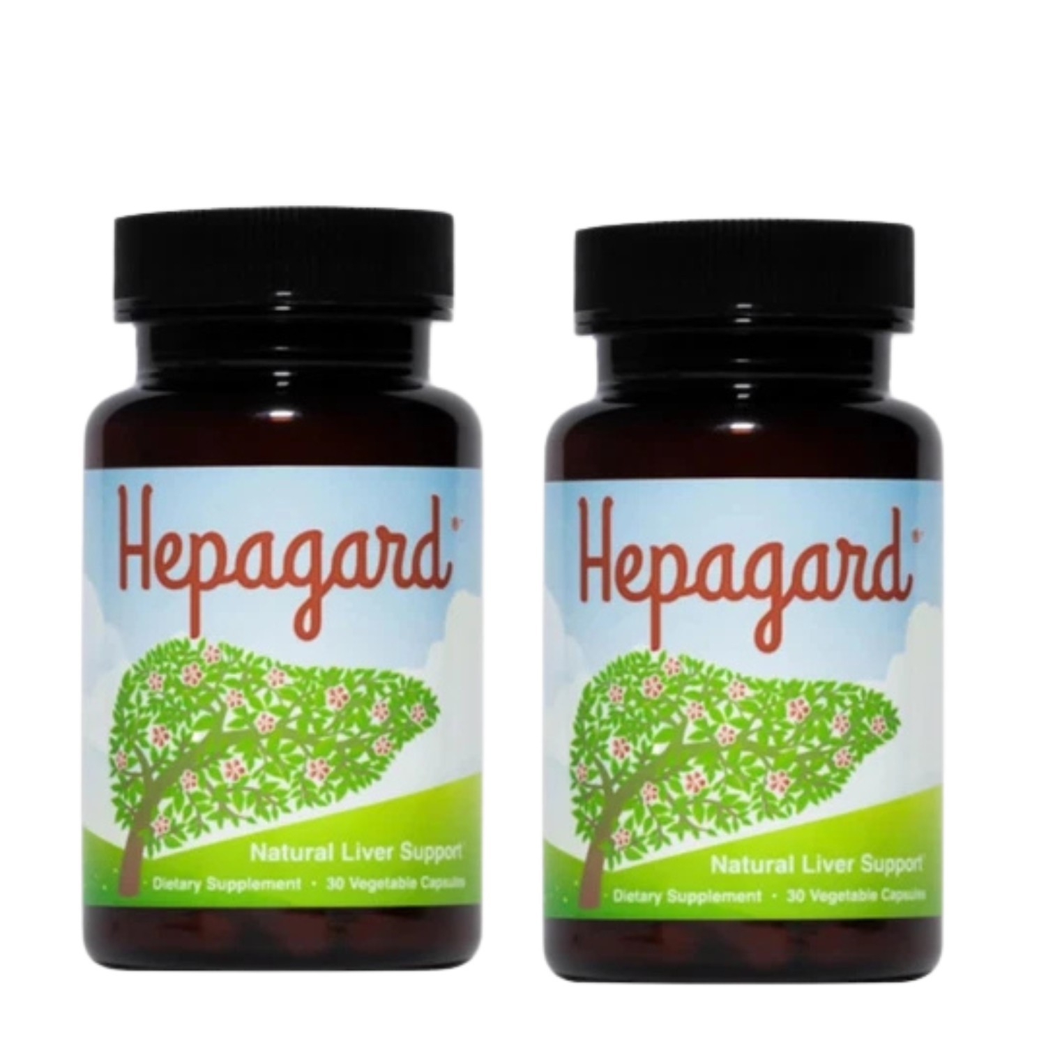 Pack of 2 Hepagard Natural Liver Support Supplement 30 Vegetable Capsules Detox